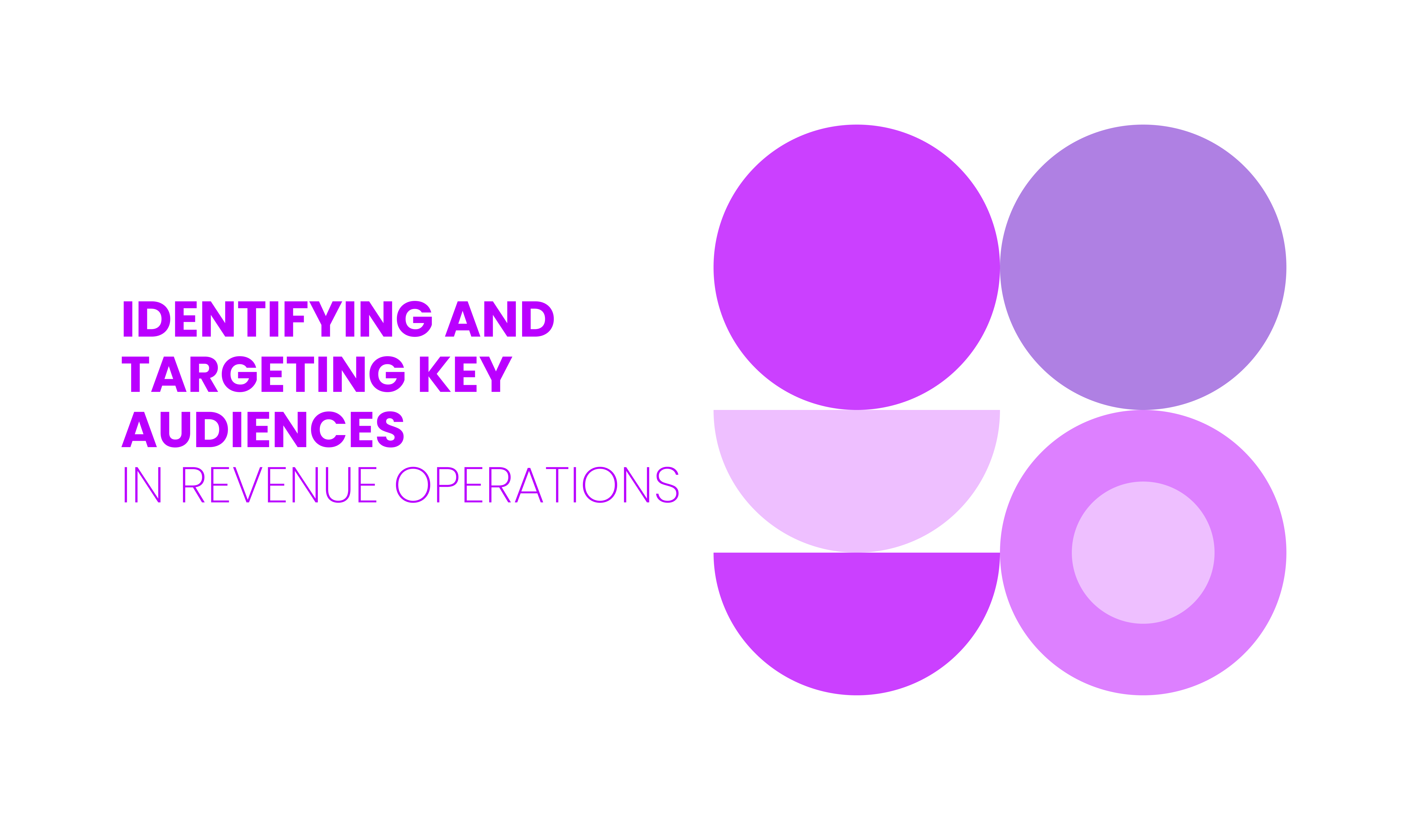 IDENTIFYING AND TARGETING KEY AUDIENCES  IN REVENUE OPERATIONS